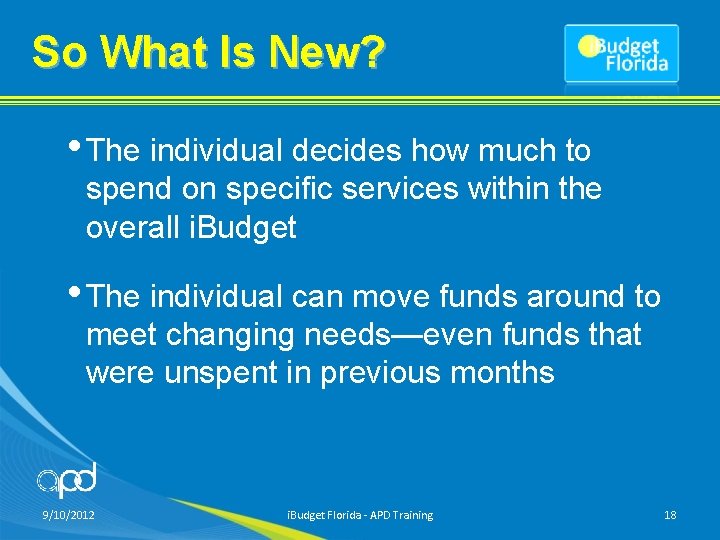 So What Is New? • The individual decides how much to spend on specific