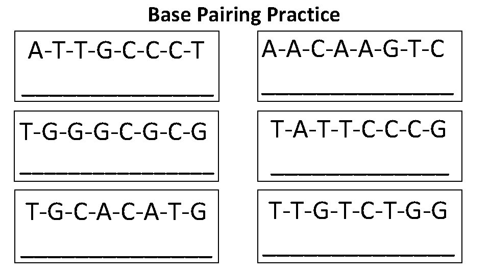 Base Pairing Practice A-T-T-G-C-C-C-T _______ A-A-C-A-A-G-T-C _______ T-G-G-G-C-G ________ T-A-T-T-C-C-C-G _______ T-G-C-A-T-G _______ T-T-G-T-C-T-G-G Base Pairing Practice A-T-T-G-C-C-C-T _______ A-A-C-A-A-G-T-C _______ T-G-G-G-C-G ________ T-A-T-T-C-C-C-G _______ T-G-C-A-T-G _______ T-T-G-T-C-T-G-G
