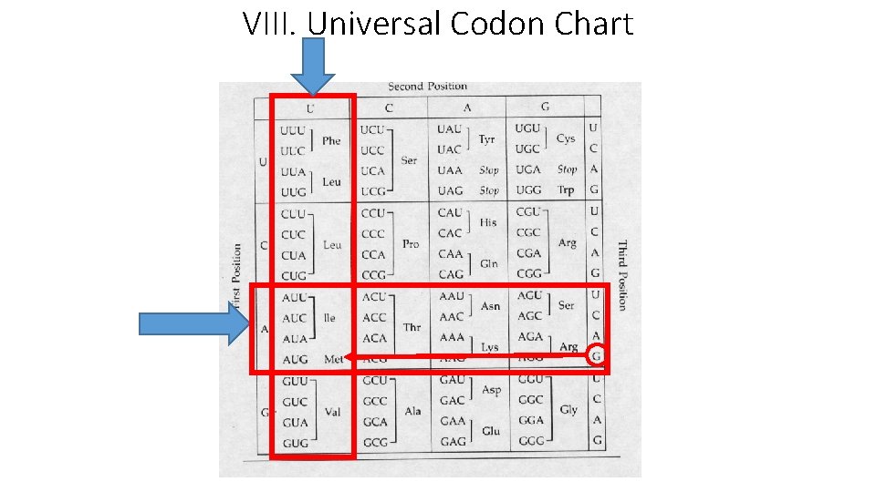 VIII. Universal Codon Chart VIII. Universal Codon Chart