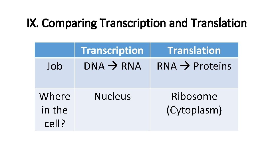 IX. Comparing Transcription and Translation Job Where in the cell? Transcription DNA RNA Translation IX. Comparing Transcription and Translation Job Where in the cell? Transcription DNA RNA Translation