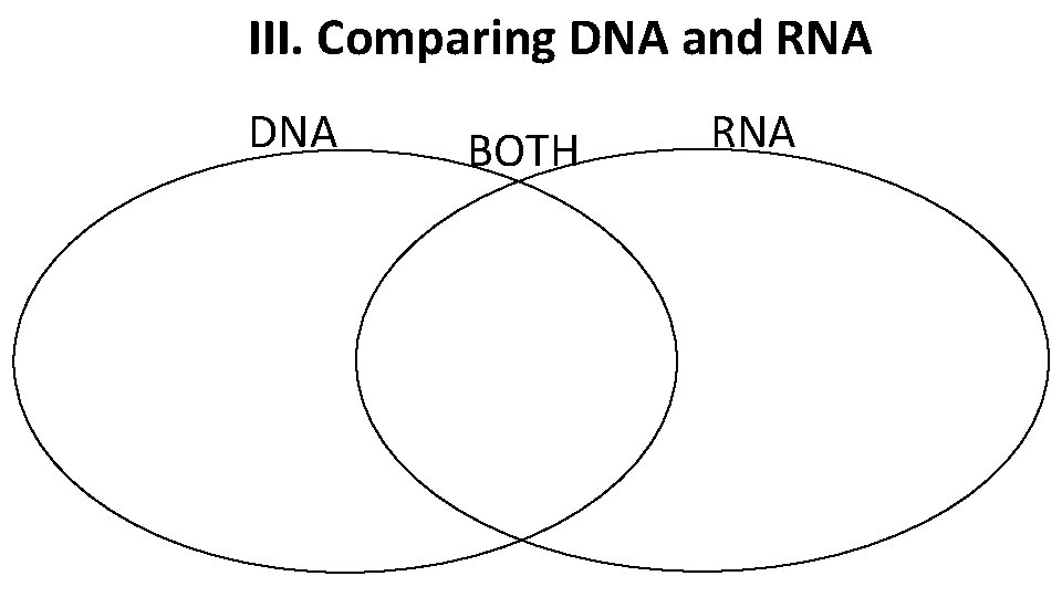 III. Comparing DNA and RNA DNA BOTH RNA III. Comparing DNA and RNA DNA BOTH RNA