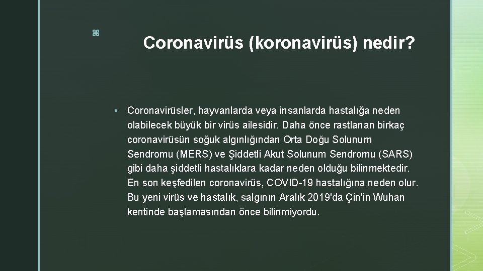 z Coronavirüs (koronavirüs) nedir? § Coronavirüsler, hayvanlarda veya insanlarda hastalığa neden olabilecek büyük bir