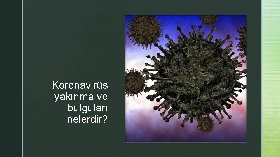 z _ Koronavirüs yakınma ve bulguları nelerdir? 