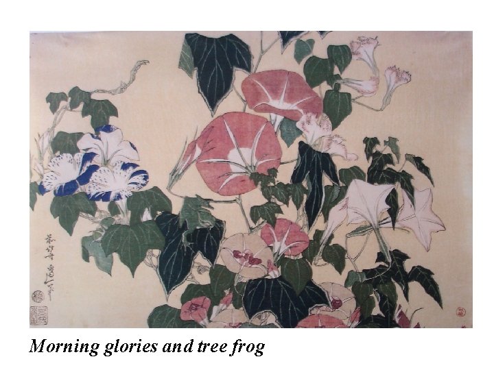 Morning glories and tree frog 