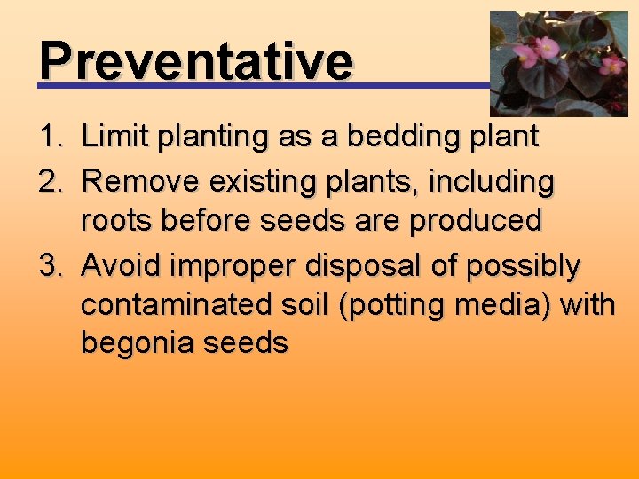 Preventative 1. Limit planting as a bedding plant 2. Remove existing plants, including roots