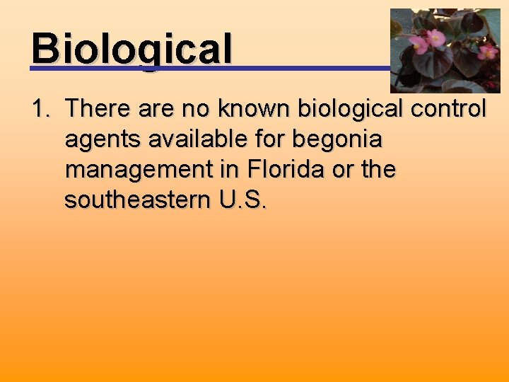 Biological 1. There are no known biological control agents available for begonia management in