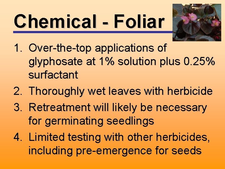 Chemical - Foliar 1. Over-the-top applications of glyphosate at 1% solution plus 0. 25%