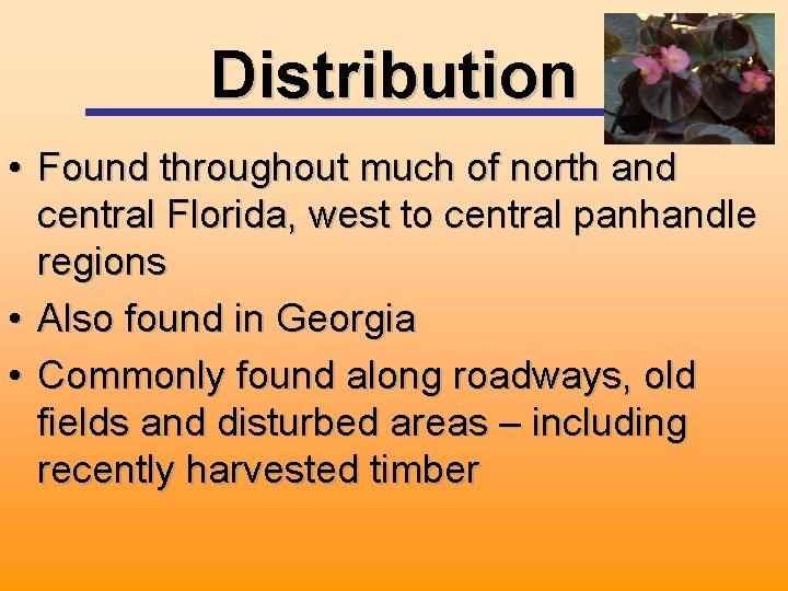 Distribution • Found throughout much of north and central Florida, west to central panhandle