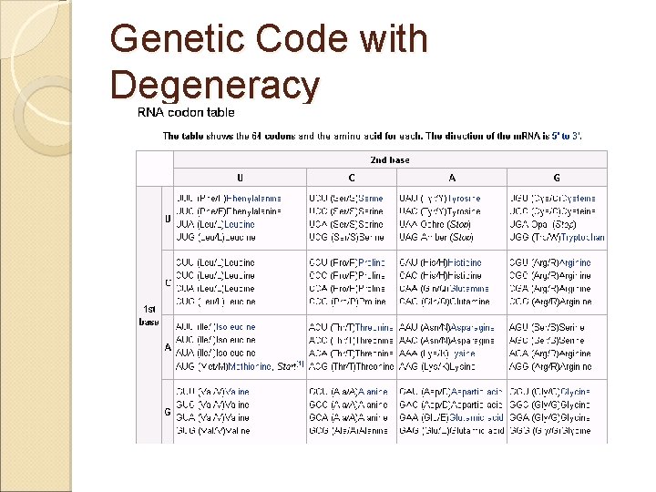 Genetic Code with Degeneracy 