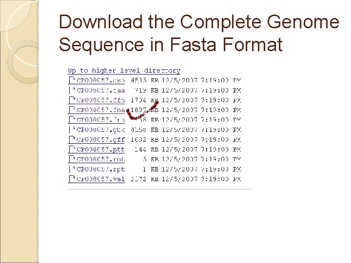 Download the Complete Genome Sequence in Fasta Format 