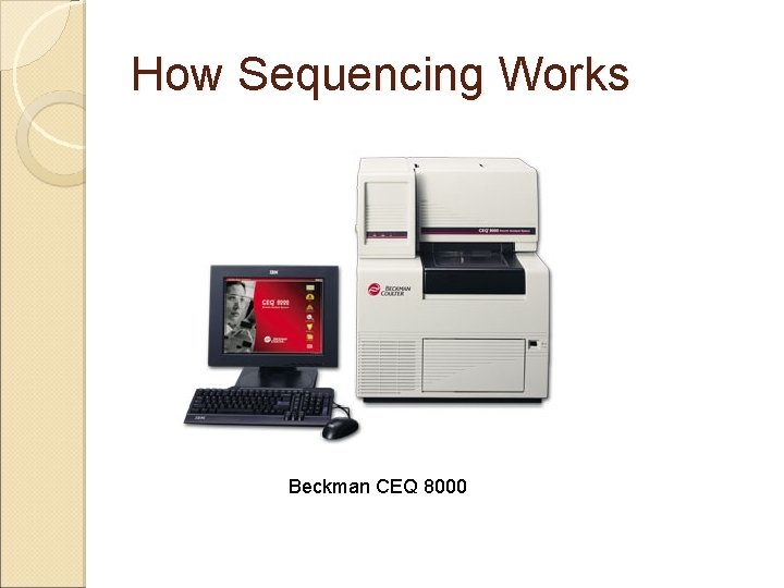 How Sequencing Works Beckman CEQ 8000 