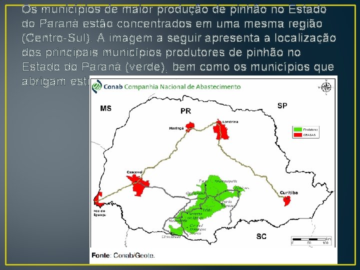 Os municípios de maior produção de pinhão no Estado do Paraná estão concentrados em
