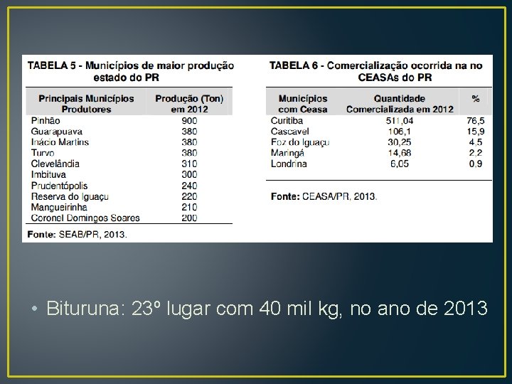  • Bituruna: 23º lugar com 40 mil kg, no ano de 2013 