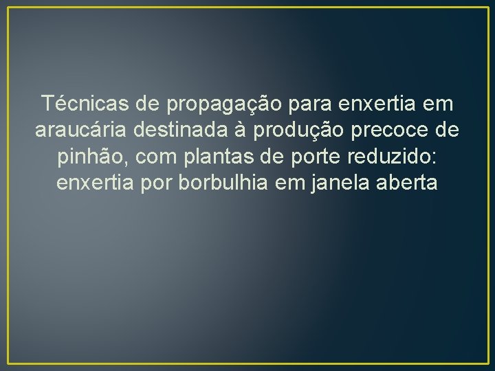 Técnicas de propagação para enxertia em araucária destinada à produção precoce de pinhão, com