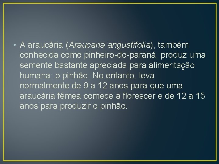  • A araucária (Araucaria angustifolia), também conhecida como pinheiro-do-paraná, produz uma semente bastante