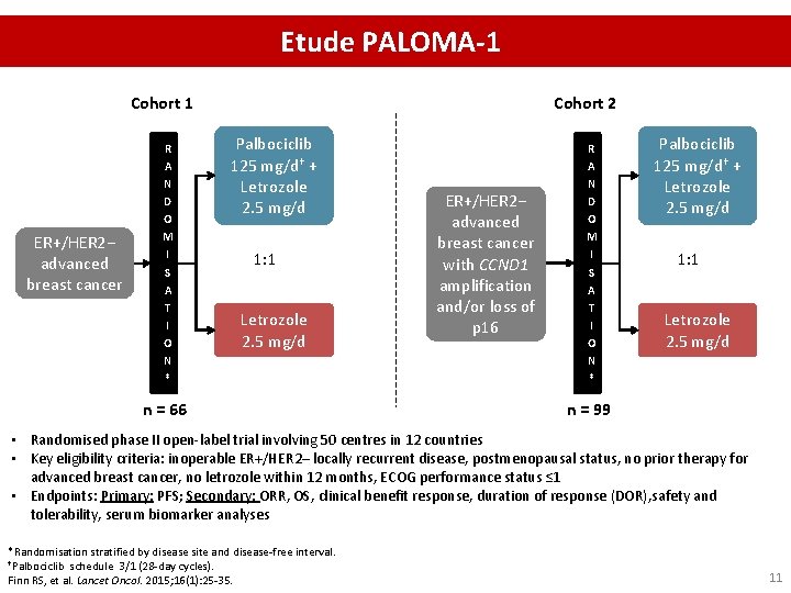 Etude PALOMA-1 Cohort 1 ER+/HER 2− advanced breast cancer R A N D O