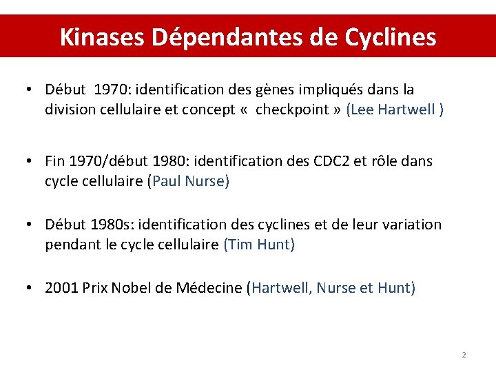 Kinases Dépendantes de Cyclines • Début 1970: identification des gènes impliqués dans la division