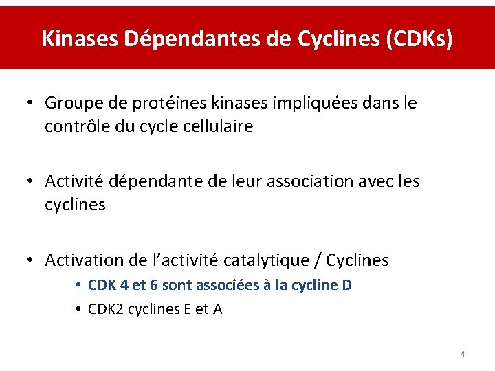 Kinases Dépendantes de Cyclines (CDKs) • Groupe de protéines kinases impliquées dans le contrôle