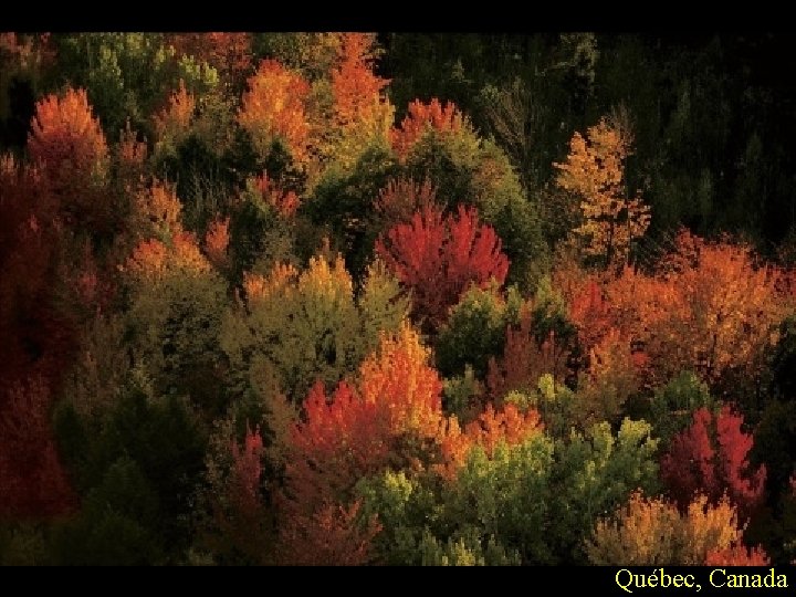 Québec, Canada 