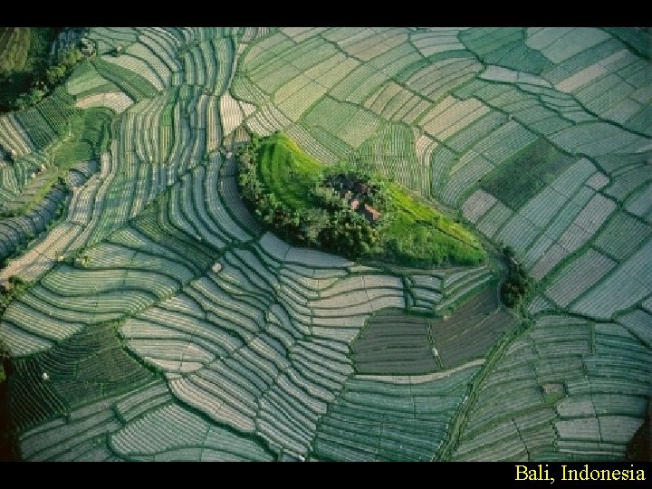 Bali, Indonesia 