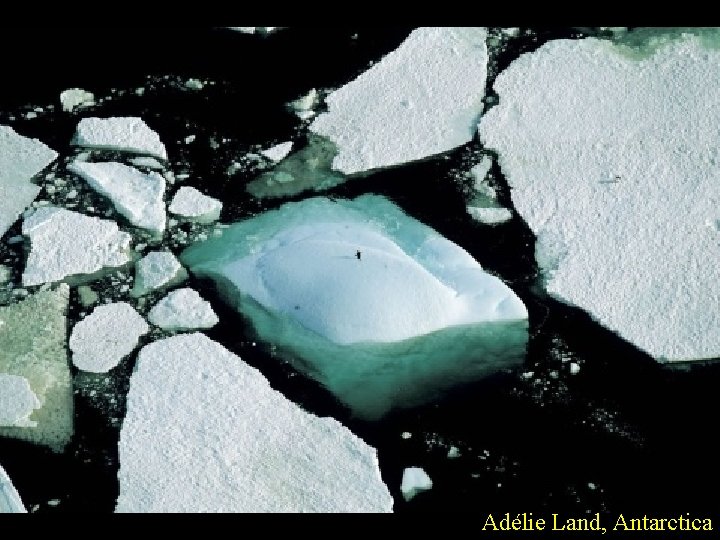 Adélie Land, Antarctica 