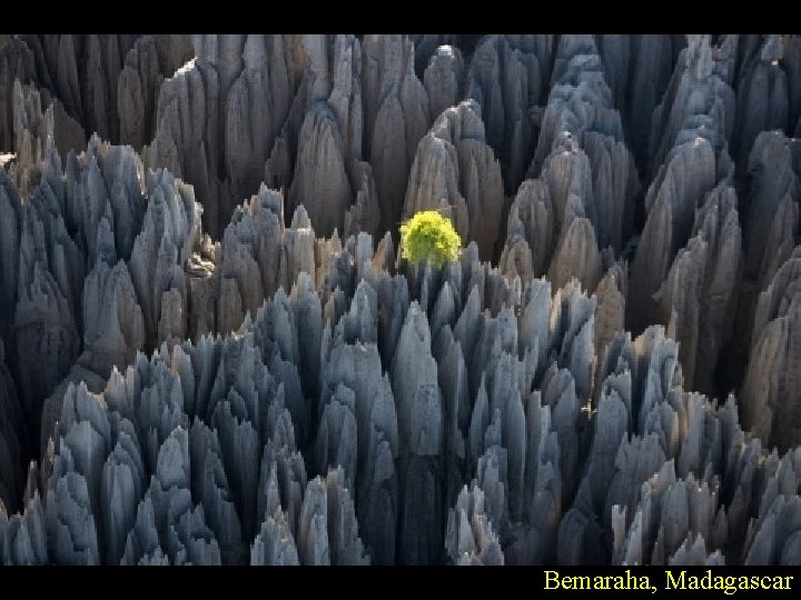 Bemaraha, Madagascar 