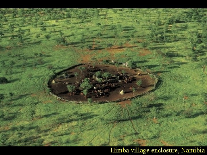 Himba village enclosure, Namibia 