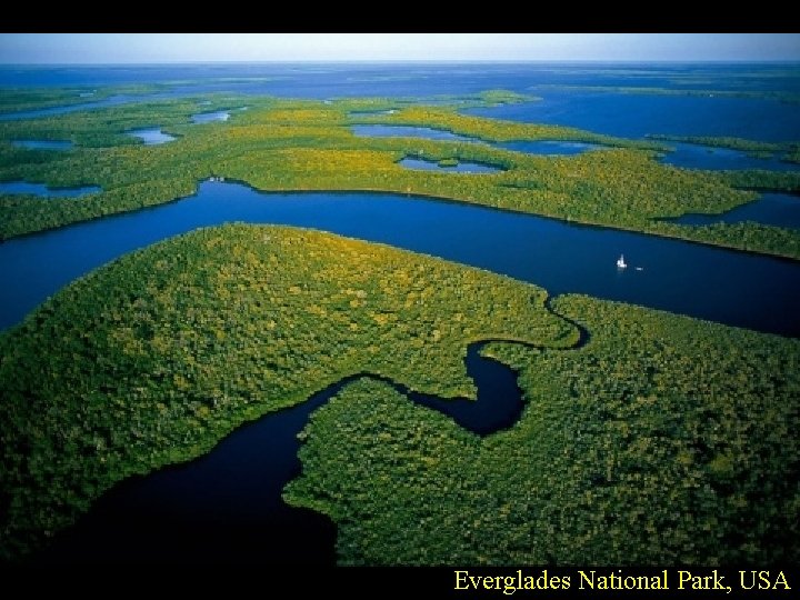 Everglades National Park, USA 
