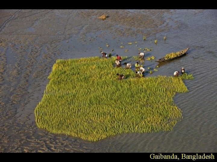 Gaibanda, Bangladesh 