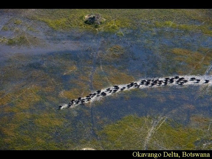 Okavango Delta, Botswana 