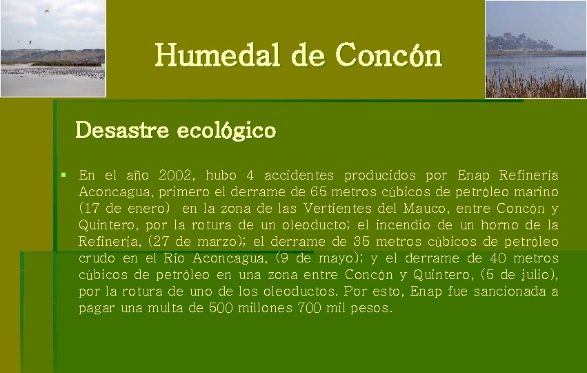 Humedal de Concón Desastre ecológico § En el año 2002, hubo 4 accidentes producidos