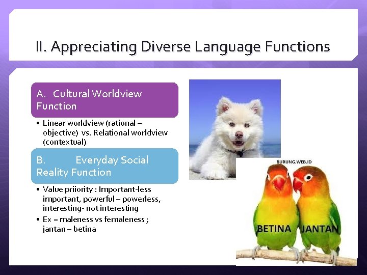 II. Appreciating Diverse Language Functions A. Cultural Worldview Function • Linear worldview (rational – II. Appreciating Diverse Language Functions A. Cultural Worldview Function • Linear worldview (rational –