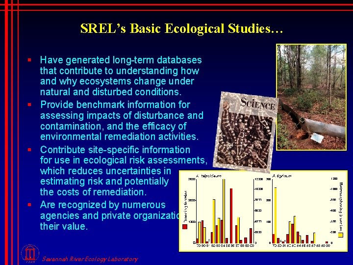 SREL’s Basic Ecological Studies… § Have generated long-term databases that contribute to understanding how