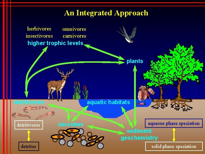 An Integrated Approach herbivores omnivores carnivores insectivores higher trophic levels plants detritivores detritus aquatic
