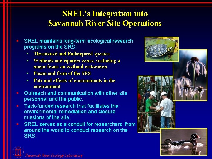 SREL’s Integration into Savannah River Site Operations § § SREL maintains long-term ecological research