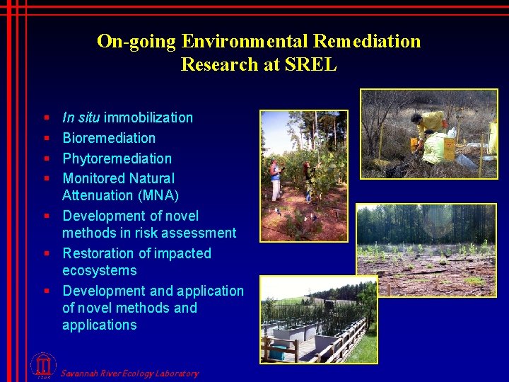 On-going Environmental Remediation Research at SREL § § In situ immobilization Bioremediation Phytoremediation Monitored