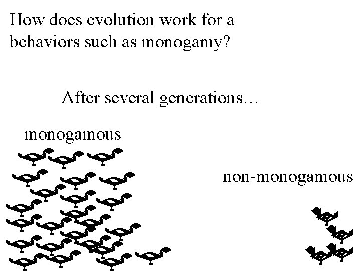 How does evolution work for a behaviors such as monogamy? After several generations… monogamous
