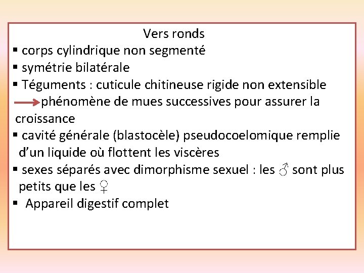 Vers ronds § corps cylindrique non segmenté § symétrie bilatérale § Téguments : cuticule