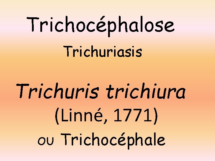 Trichocéphalose Trichuriasis Trichuris trichiura (Linné, 1771) OU Trichocéphale 