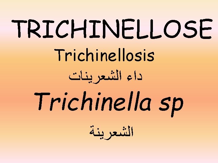 TRICHINELLOSE Trichinellosis ﺩﺍﺀ ﺍﻟﺸﻌﺮﻳﻨﺎﺕ Trichinella sp ﺍﻟﺸﻌﺮﻳﻨﺔ 