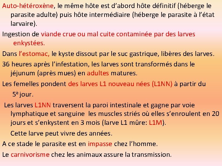 Auto-hétéroxène, le même hôte est d’abord hôte définitif (héberge le parasite adulte) puis hôte