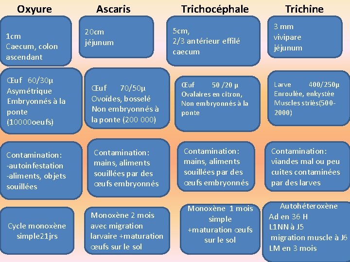 Oxyure 1 cm Caecum, colon ascendant Ascaris 20 cm jéjunum Trichocéphale 5 cm, 2/3