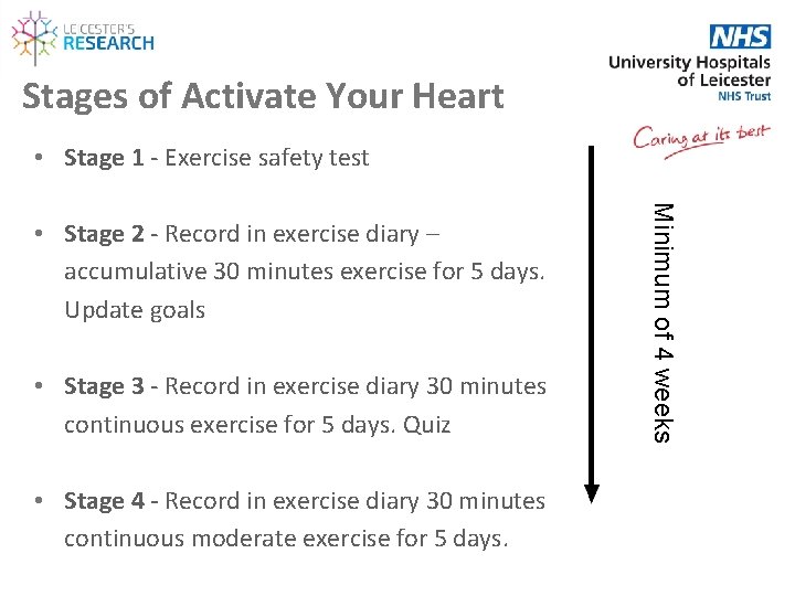 Stages of Activate Your Heart • Stage 1 - Exercise safety test • Stage