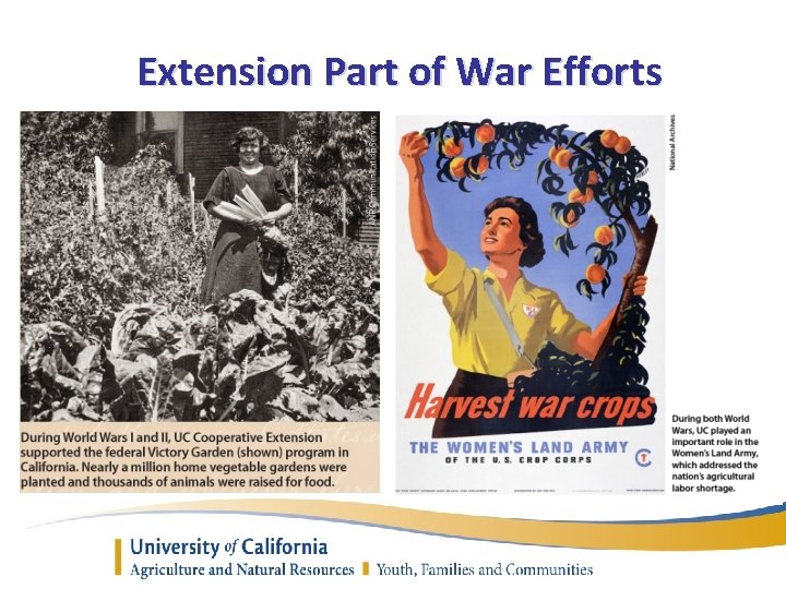 Extension Part of War Efforts 