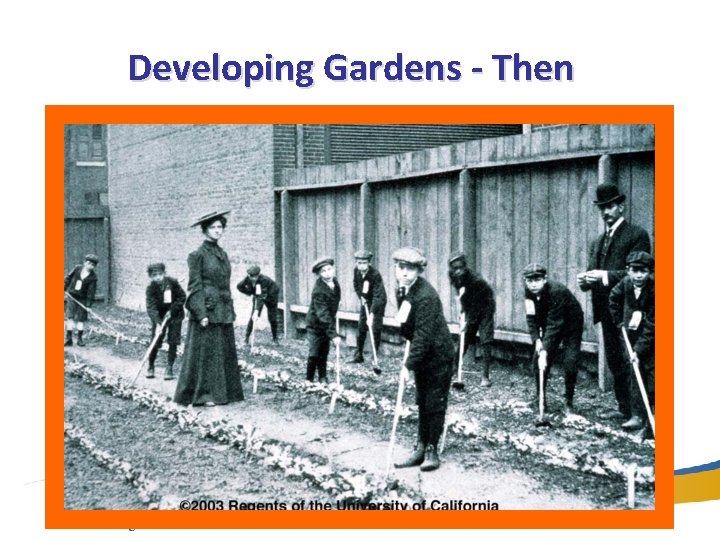 Developing Gardens - Then 