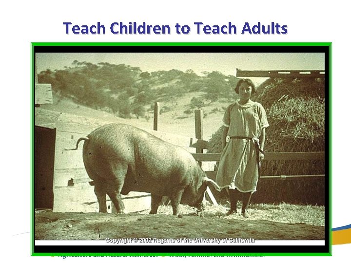 Teach Children to Teach Adults 