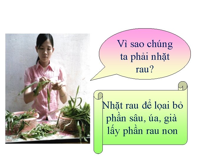 Vì sao chúng ta phải nhặt rau? Nhặt rau để lọai bỏ phần sâu,