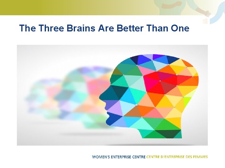 The Three Brains Are Better Than One 