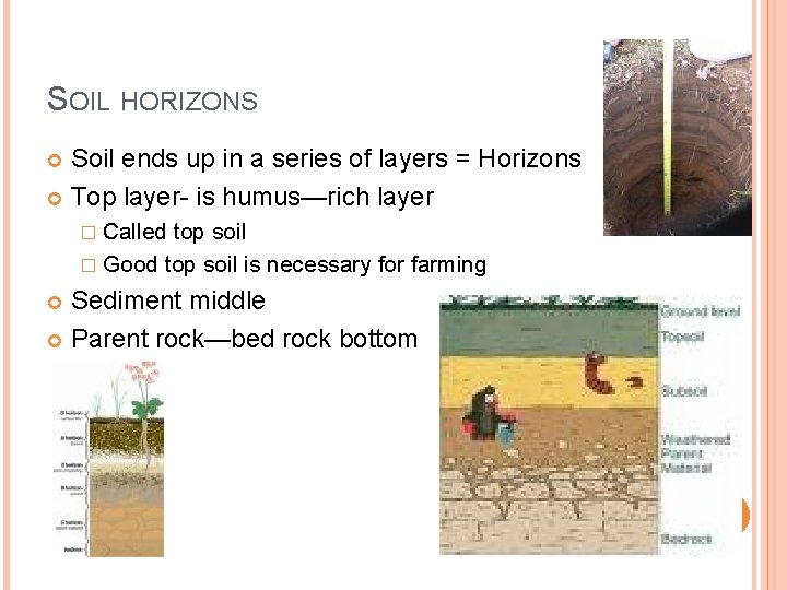 SOIL HORIZONS Soil ends up in a series of layers = Horizons Top layer-