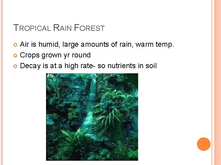 TROPICAL RAIN FOREST Air is humid, large amounts of rain, warm temp. Crops grown
